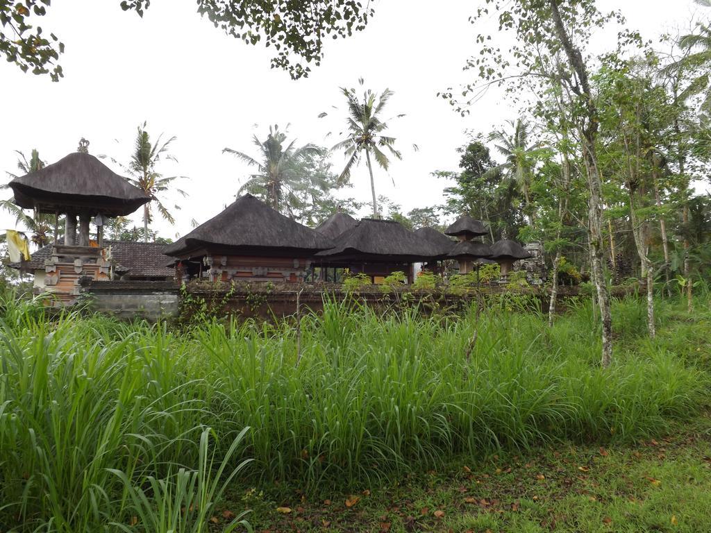 Uma Nandhi Ubud Natural Cottage المظهر الخارجي الصورة