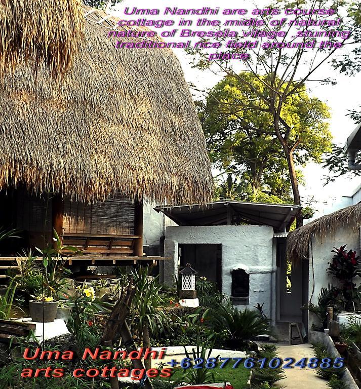 Uma Nandhi Ubud Natural Cottage المظهر الخارجي الصورة